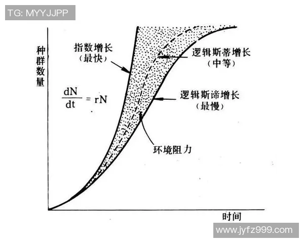 深入探讨比分预测分析的模型与方法提升赛事结果预测的准确性与实用性